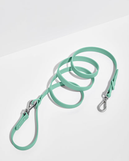 Seafoam