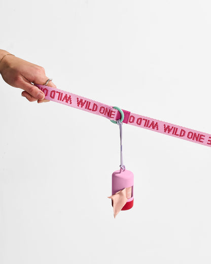 Cushioned Harness + Lightweight Leash Walk Kit